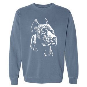 American Pitbull Terrier Garment-Dyed Sweatshirt