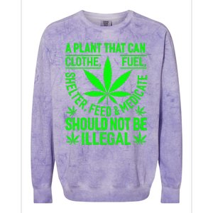 A Plant That Can Clothe Fuel Shelter Feed & Medicate Shou Colorblast Crewneck Sweatshirt