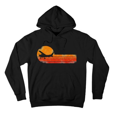 Airplane Pilot Vintage Hoodie