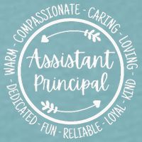 Assistant Principal Vice School Principal Appreciation Sueded Cloud Jersey T-Shirt
