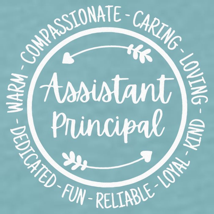 Assistant Principal Vice School Principal Appreciation Sueded Cloud Jersey T-Shirt