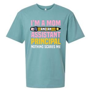 Assistant Principal Vice-Principal Headmasters Mother's Day Sueded Cloud Jersey T-Shirt