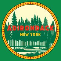 Adirondack Park Vintage Womens T-Shirt