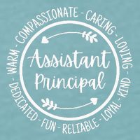 Assistant Principal Vice School Principal Appreciation Sueded Cloud Jersey T-Shirt