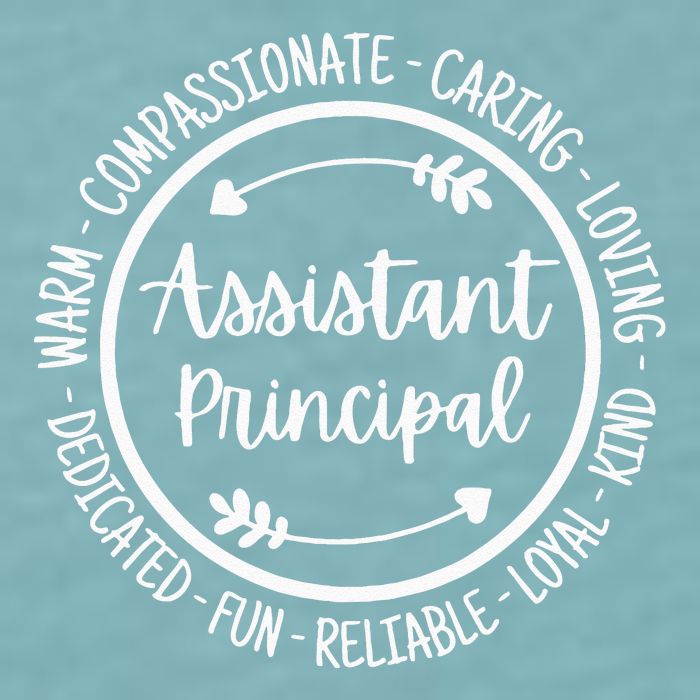 Assistant Principal Vice School Principal Appreciation Sueded Cloud Jersey T-Shirt