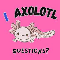 Axolotl Questions Stripe Pom Pom Beanie
