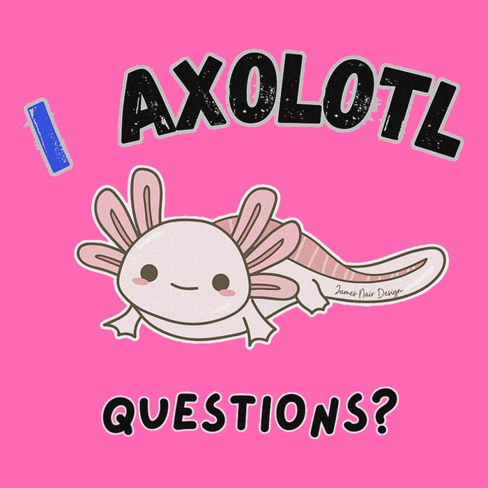 Axolotl Questions Stripe Pom Pom Beanie