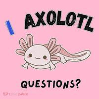 Axolotl Questions T-Shirt