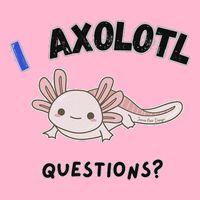 Axolotl Questions Womens T-Shirt