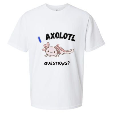 Axolotl Questions Sueded Cloud Jersey T-Shirt