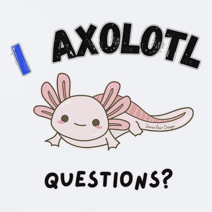 Axolotl Questions Sueded Cloud Jersey T-Shirt