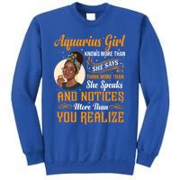 Aquarius Queen January And February Birthday Zodiac Sign Cute Gift Sweatshirt