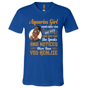 Aquarius Queen January And February Birthday Zodiac Sign Cute Gift V-Neck T-Shirt