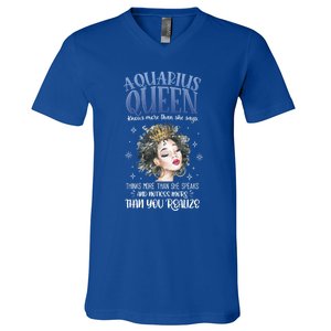 Aquarius Queen Knows More Than She Says Gift V-Neck T-Shirt