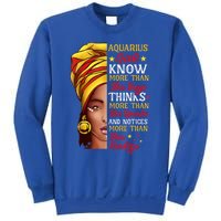 Aquarius Queen Melanin Afro Queen Black Zodiac Birthday Gift Sweatshirt