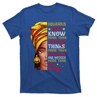 Aquarius Queen Melanin Afro Queen Black Zodiac Birthday Gift T-Shirt