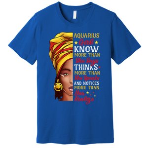 Aquarius Queen Melanin Afro Queen Black Zodiac Birthday Gift Premium T-Shirt