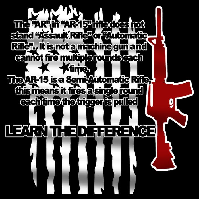 AR15 Not AN Assault Rifle Guns Quote City Backpack