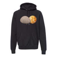 A Rock And A Roll ItS A Rock And A Roll Pictogram Premium Hoodie