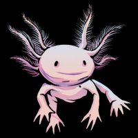 Axolotl Realistic Cute Salamander Amphibian Axolotl Lover Bucket Hat