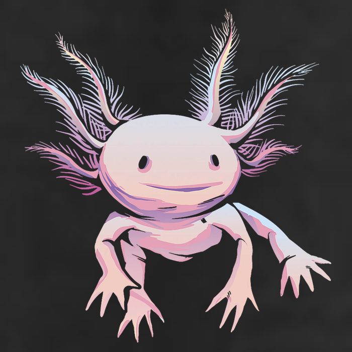 Axolotl Realistic Cute Salamander Amphibian Axolotl Lover Microfiber Hand Towel