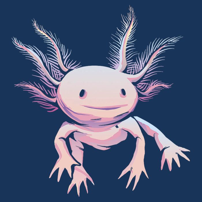 Axolotl Realistic Cute Salamander Amphibian Axolotl Lover Infant Baby Jersey Bodysuit