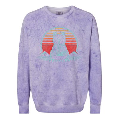 Anime Ramen Cat Retro Japanese Noodles Aesthetic Kawaii Gift Colorblast Crewneck Sweatshirt