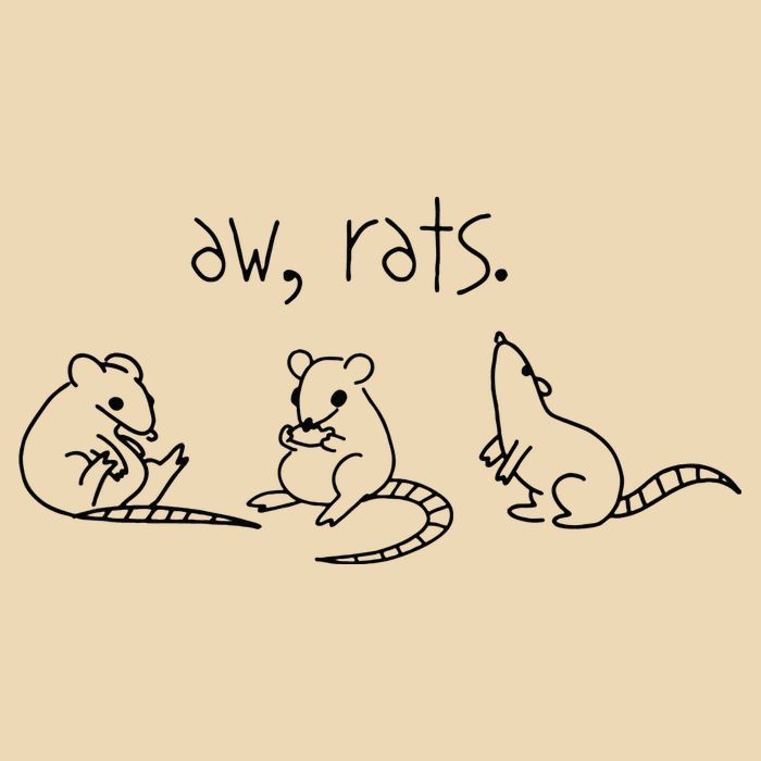 Aw Rats Cute Rat Trio Drawstring Bag