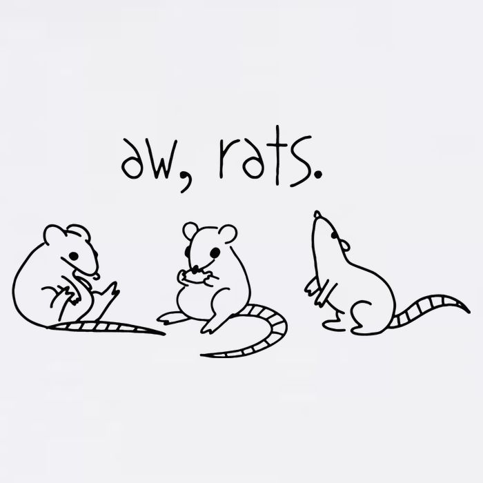 Aw Rats Cute Rat Trio Doggie Tank