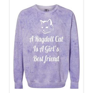 A Ragdoll Cat Is A Girl's Best Friend Christmas Gift Mothers Day Pet Cat Friend Colorblast Crewneck Sweatshirt