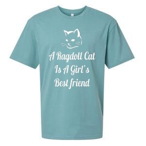 A Ragdoll Cat Is A Girl's Best Friend Christmas Gift Mothers Day Pet Cat Friend Sueded Cloud Jersey T-Shirt