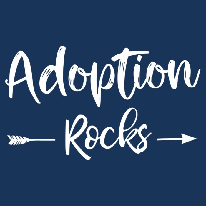 Adoption Rocks Cute Christian Adopt Adoption Day Family 16 in Basic Backpack
