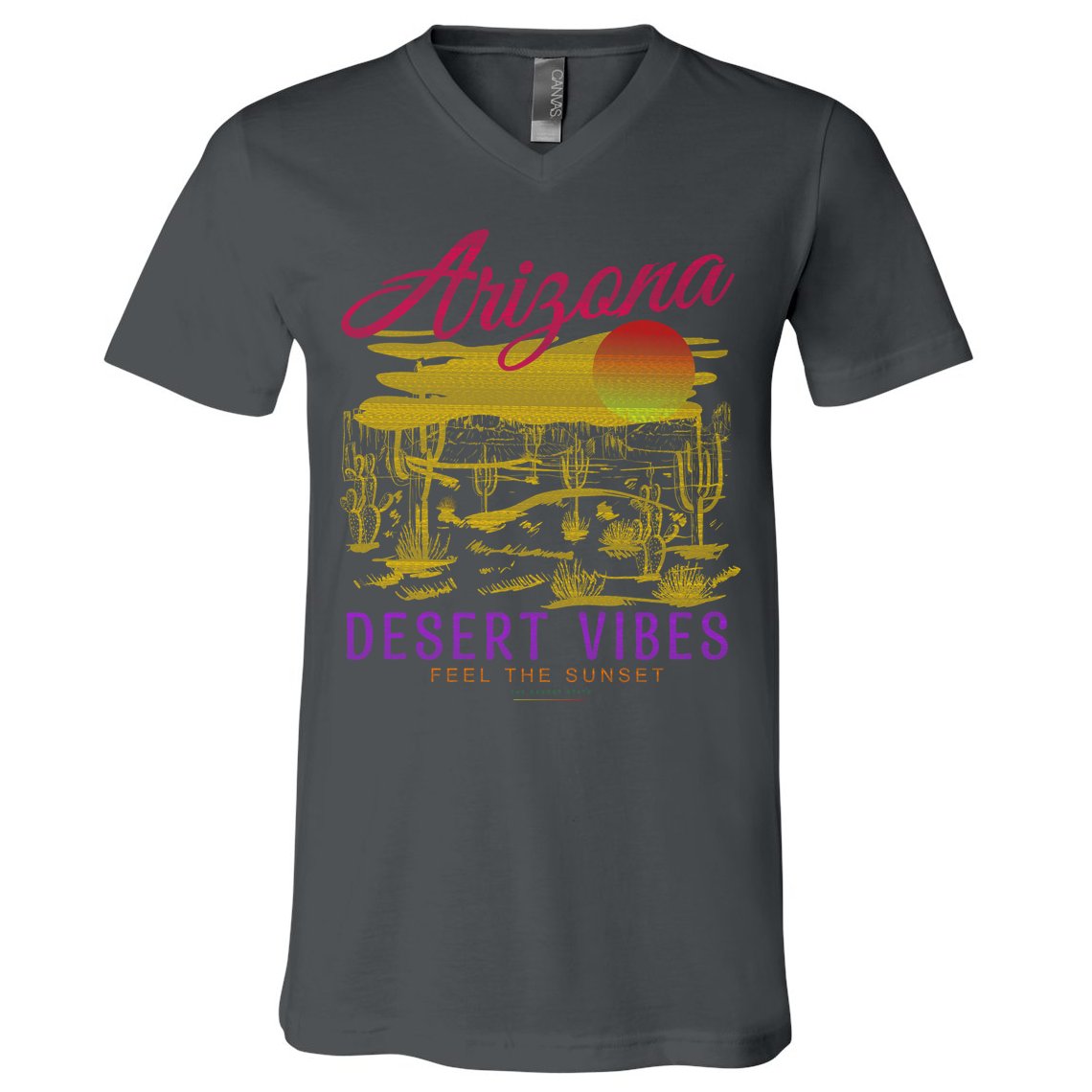 Arizona Retro Desert Vibes V-Neck T-Shirt