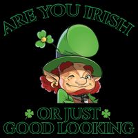 Are You Irish or Just Good Looking Leprechaun Mug