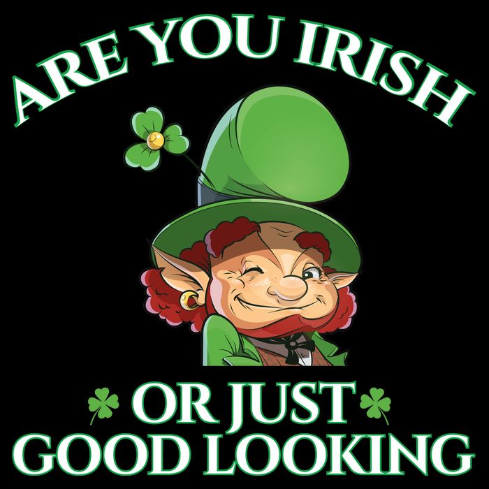 Are You Irish or Just Good Looking Leprechaun Drawstring Bag