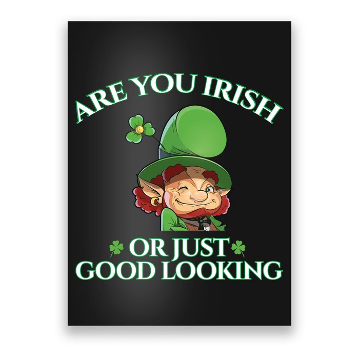 Are You Irish or Just Good Looking Leprechaun Poster