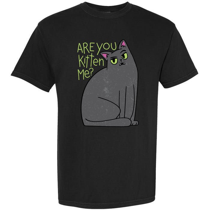Are You Kitten Me Garment-Dyed Heavyweight T-Shirt