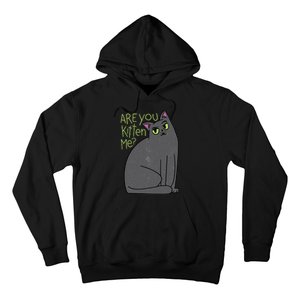 Are You Kitten Me Hoodie