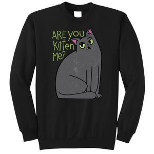 Are You Kitten Me Sweatshirt