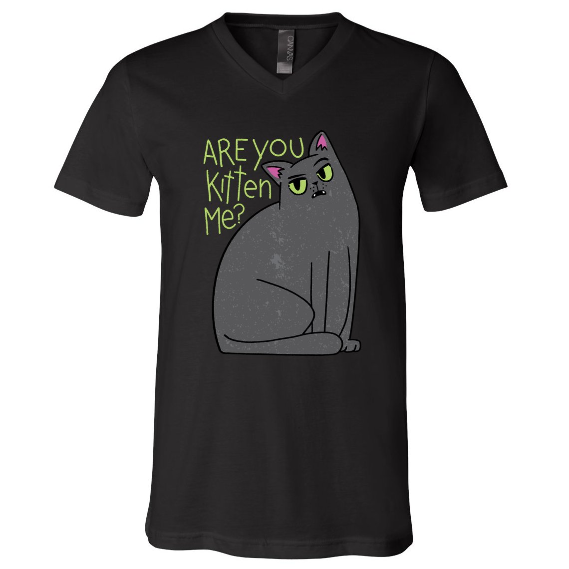 Are You Kitten Me V-Neck T-Shirt