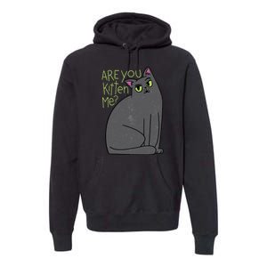 Are You Kitten Me Premium Hoodie