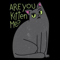 Are You Kitten Me Magnet
