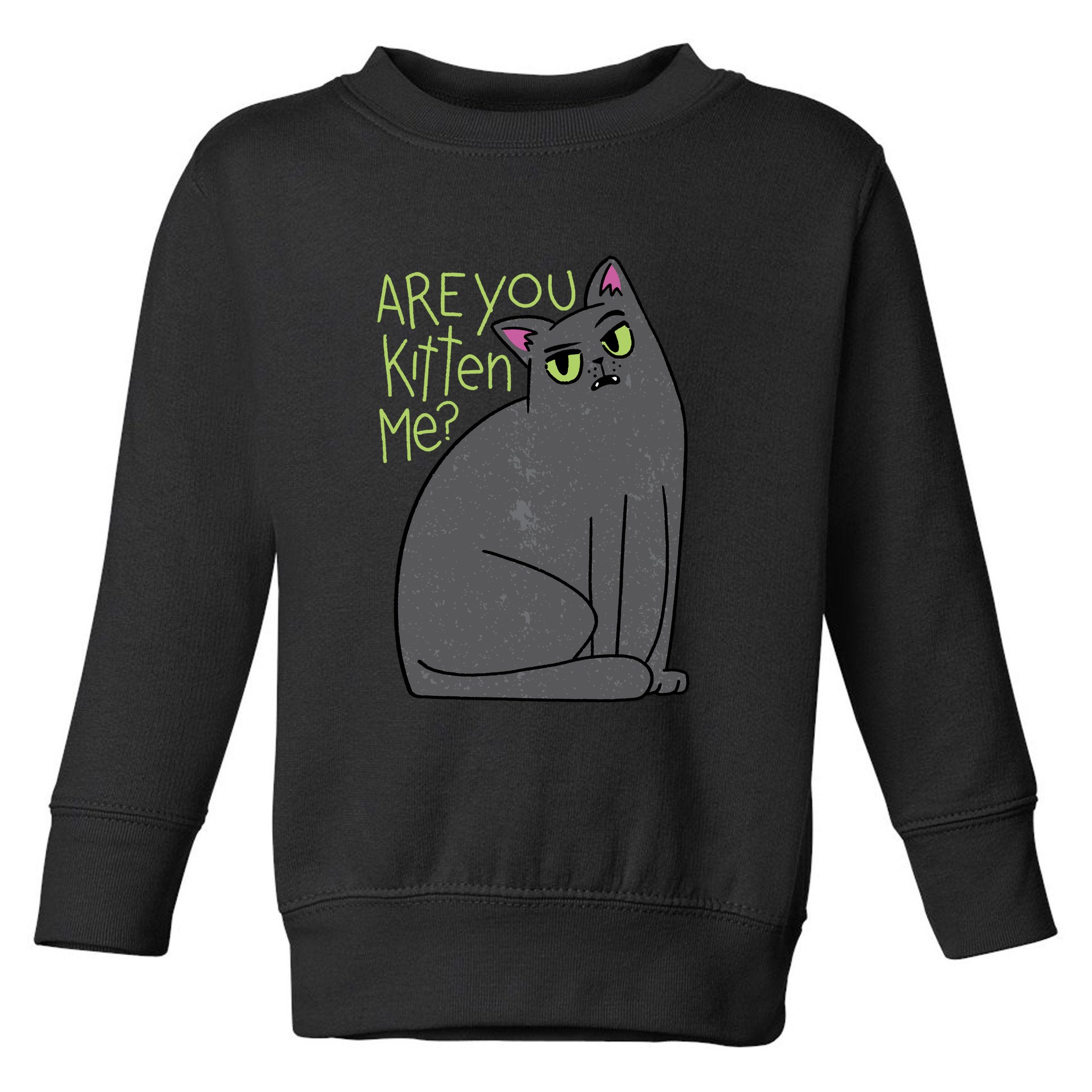 Are You Kitten Me Toddler Sweatshirt