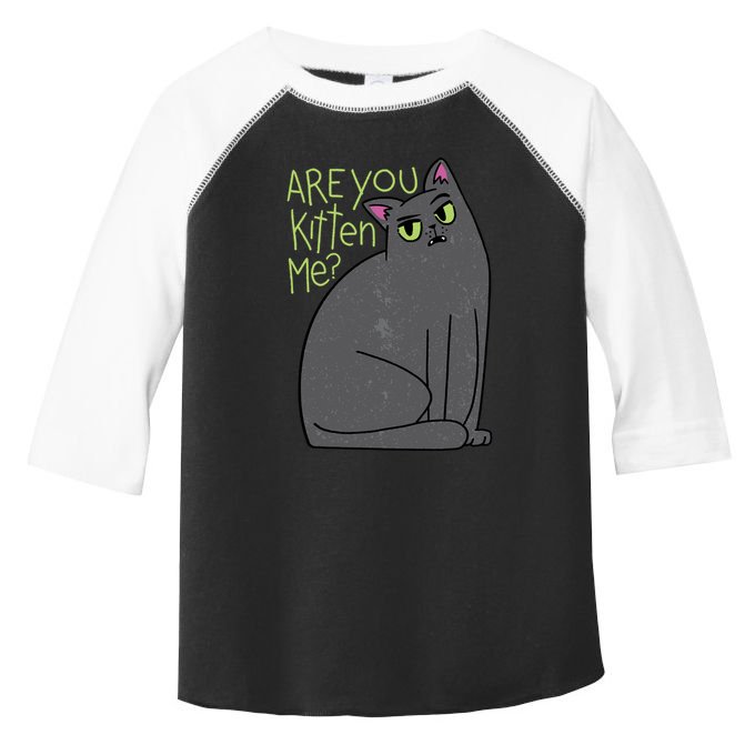 Are You Kitten Me Toddler Fine Jersey T-Shirt