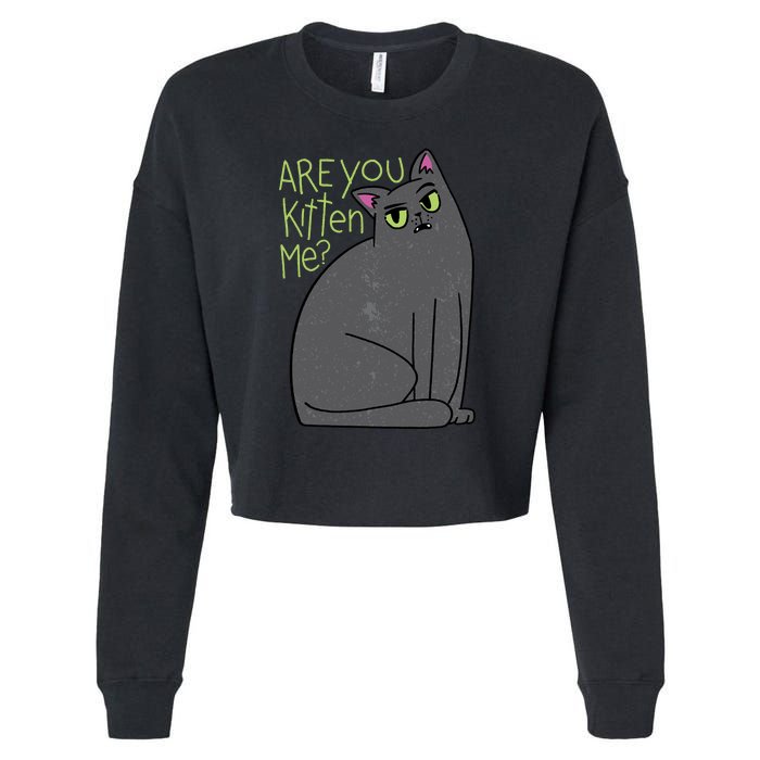 Are You Kitten Me Cropped Pullover Crew