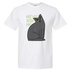 Are You Kitten Me Garment-Dyed Heavyweight T-Shirt