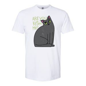 Are You Kitten Me Softstyle CVC T-Shirt