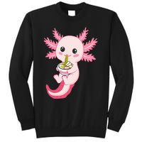 Axolotl Ra Funny Axolotls Sweatshirt