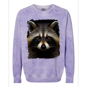 A Racoon Gift Colorblast Crewneck Sweatshirt