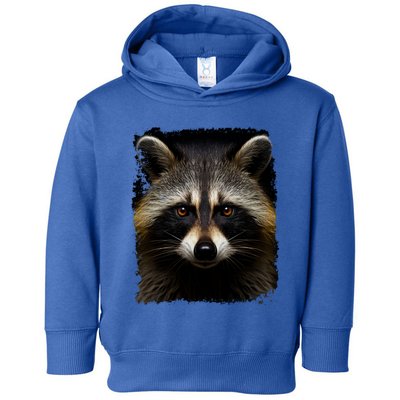 A Racoon Gift Toddler Hoodie